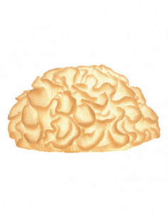 Lámpara coral en resina para decoración