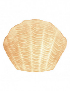 Lámpara de sobremesa concha marina