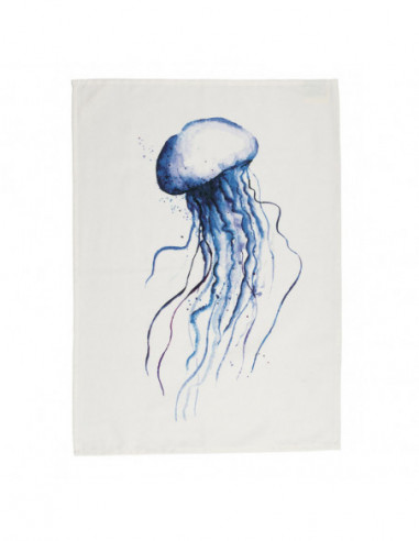trapo medusa