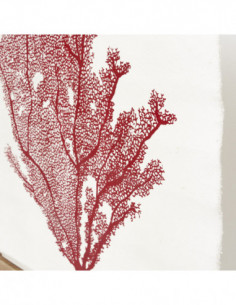 Lámina coral marino rojo de pared 2