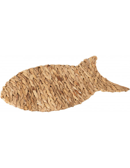 Individual pez marino 
