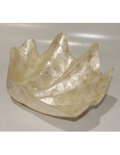 Concha marina Tridacna en Capiz 2