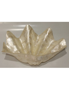 Concha marina Tridacna en Capiz