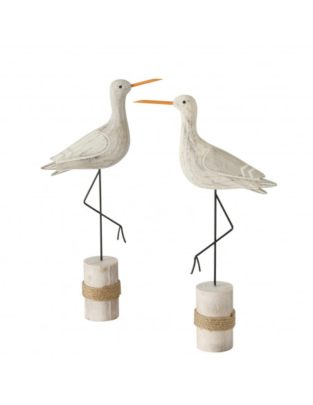 Aves marinas