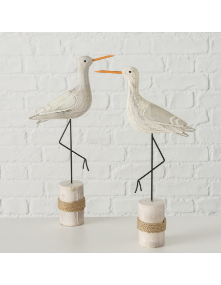 Aves náuticas