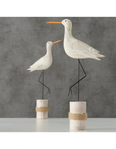 Pájaros costeros