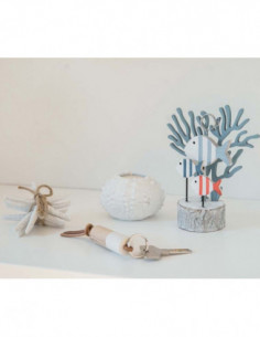 Portavela de erizo de mar  2