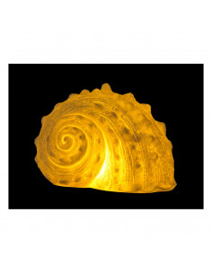 Lámpara marinera caracol de mar 2