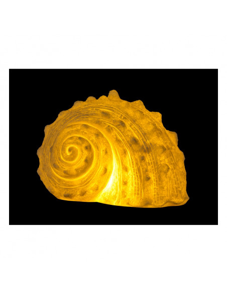 Lámpara marinera caracol de mar