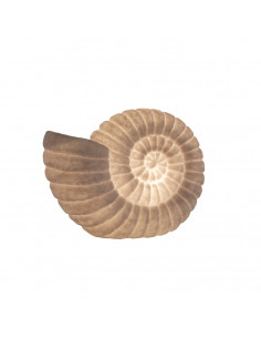 Lámpara caracola de mar decorativa