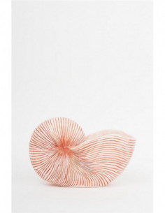 Tiesto de caracola 2