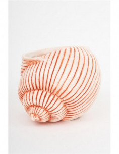 Tiesto caracola resina 2