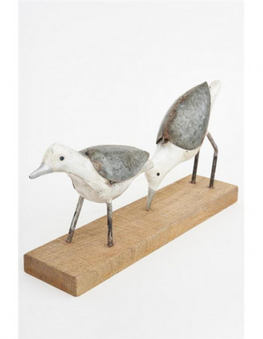 Pájaros marinos