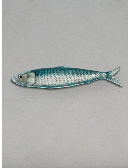 Plato marino sardina azul