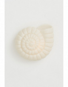 Lámpara de caracola