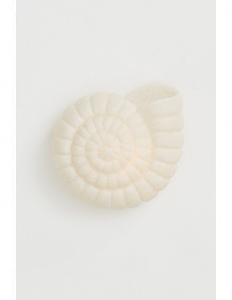Lámpara de caracola