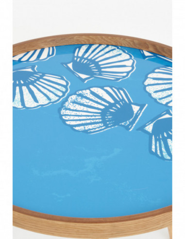 Mesa grande conchitas 