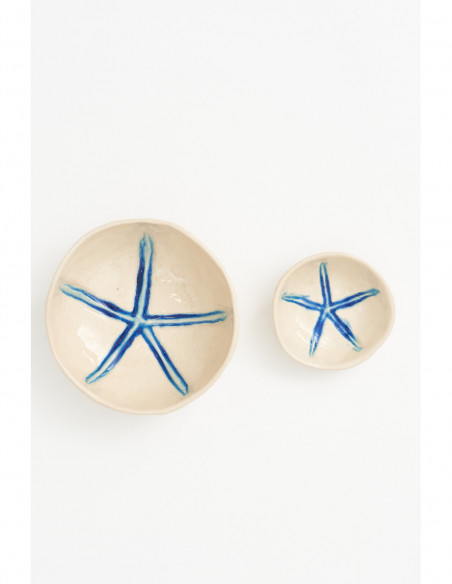 Platos estrellas de mar