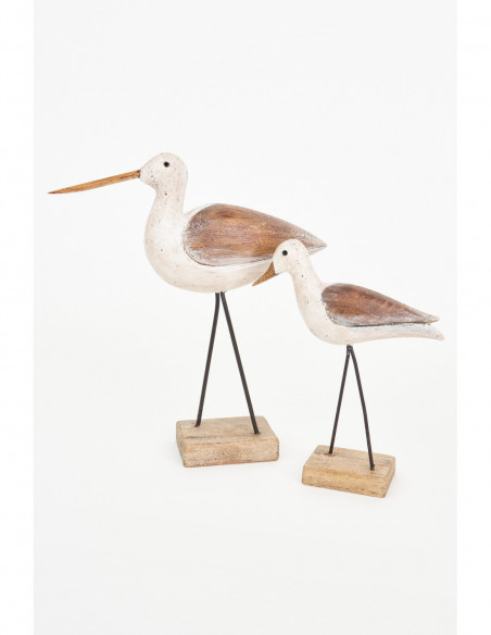 Pájaros marinos