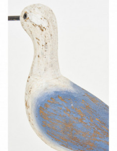 Ave marina de alas azules 2