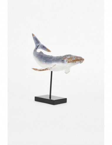 Ballena náutica