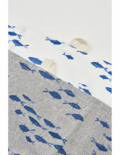 Trapo banco de peces 2