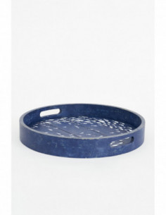 Bandeja banco de peces 2