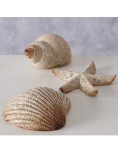 Figura marinera estrella, caracola y vieira