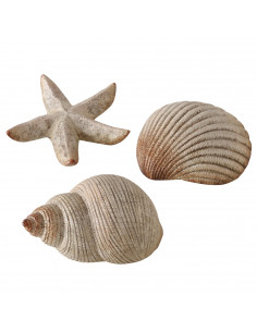 Figura marinera estrella, caracola y vieira 2