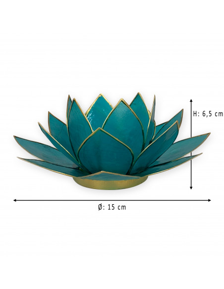 Flor de loto sol y la creación