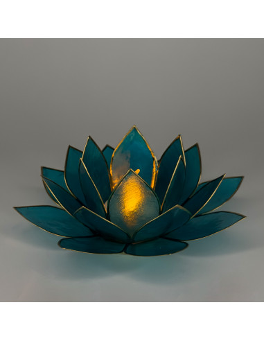 Flor de Loto pureza del cuerpo y del alma Flor de Loto pureza del cuerpo y del alma