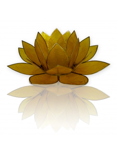 Comprar flor de loto