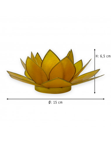 Nelumbo nucifera Nelumbo nucifera
