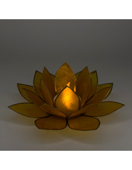Nelumbo nucifera decorativa