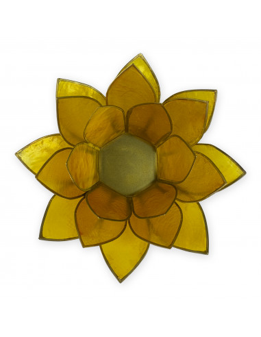 Flor de lotto Flor de lotto