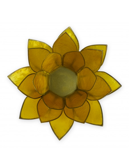 Flor de lotto
