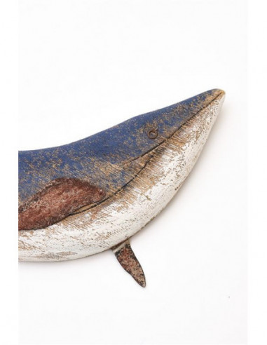  Ballena azulina 