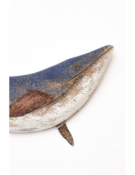  Ballena azulina 