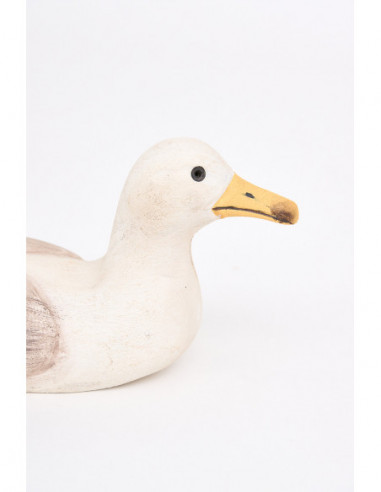  Gaviota pico amarillo 