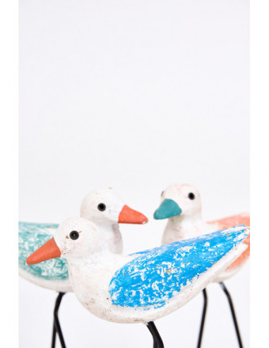  Gaviotas marinas 