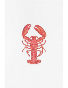 Langosta roja madera 