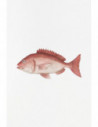 Pez colgante rojo 