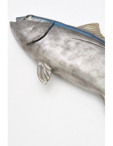  Pez gris 