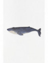 Ballena azulino de resina 
