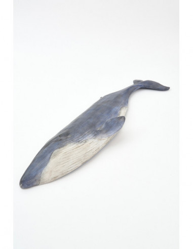  Ballena azulino 