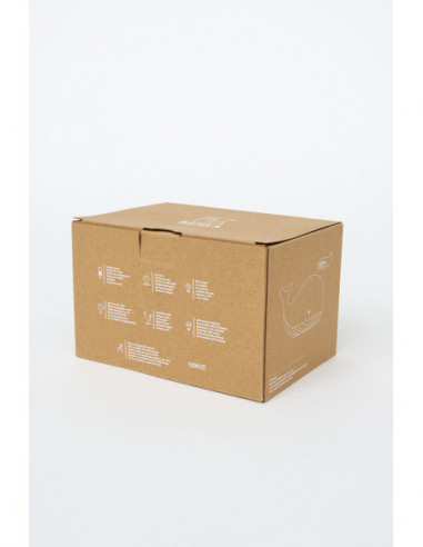  Caja de lámpara