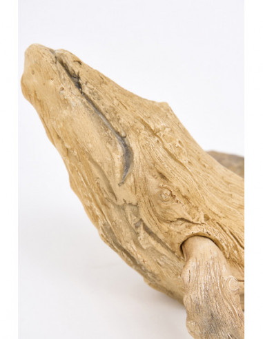  Cabeza de ballena de madera 