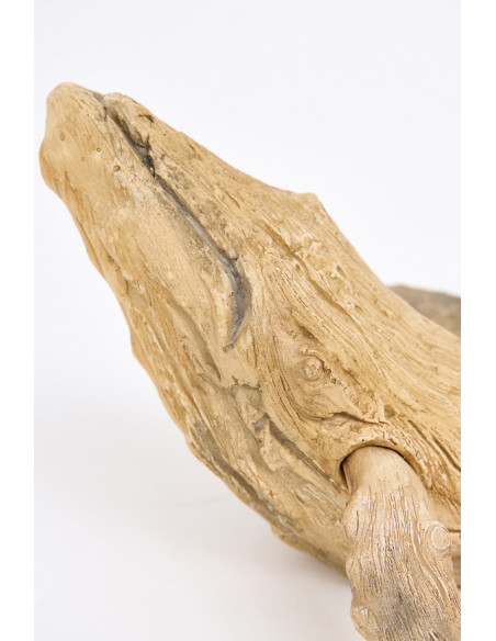  Cabeza de ballena de madera 