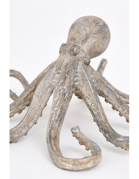 Pulpo gris 