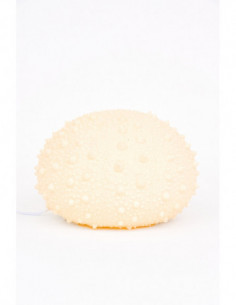 Lámpara erizo de mar  2